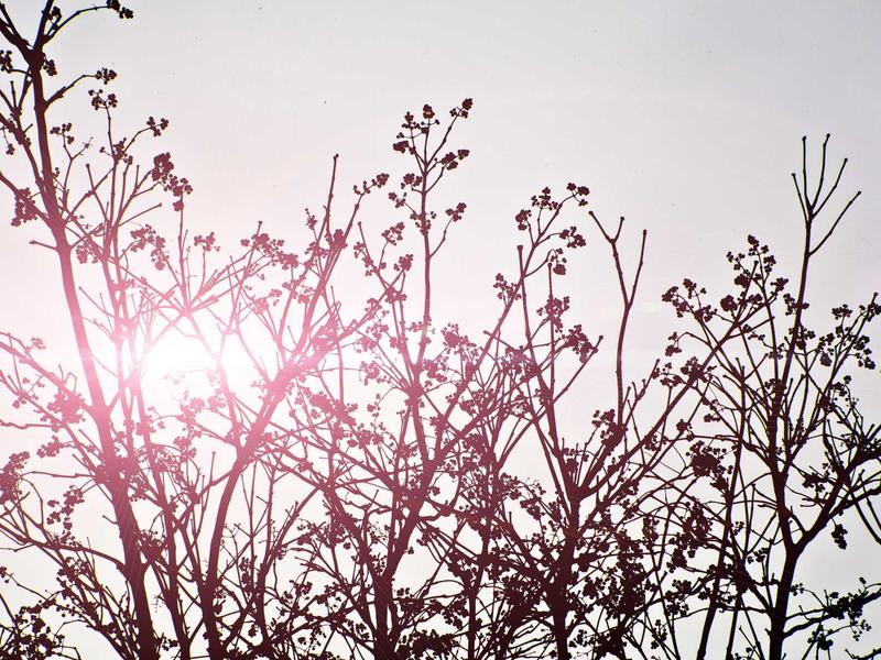 sudoku daily challenge screenshot 5